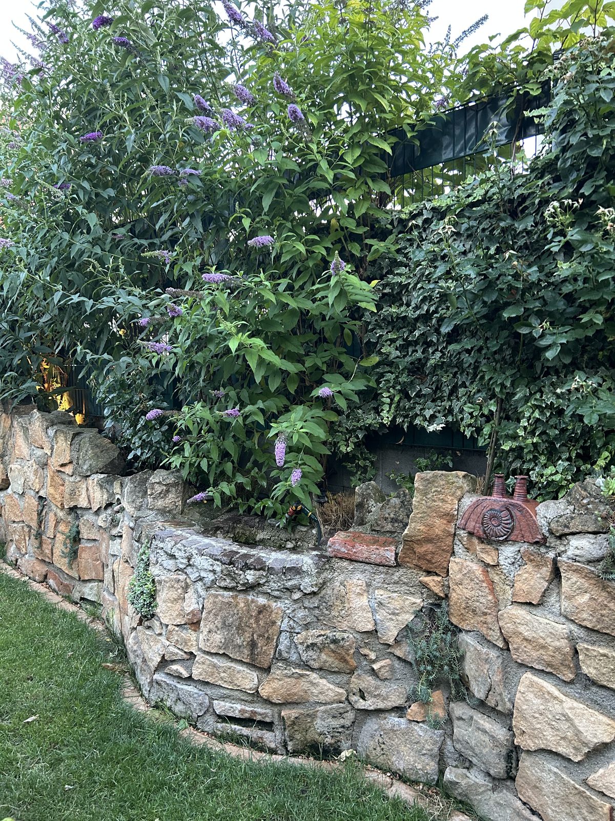 Bepflanzte Trockenmauer mit Blüten